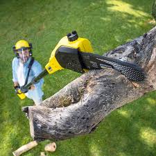 Best Sod Installation  in Catoosa, OK